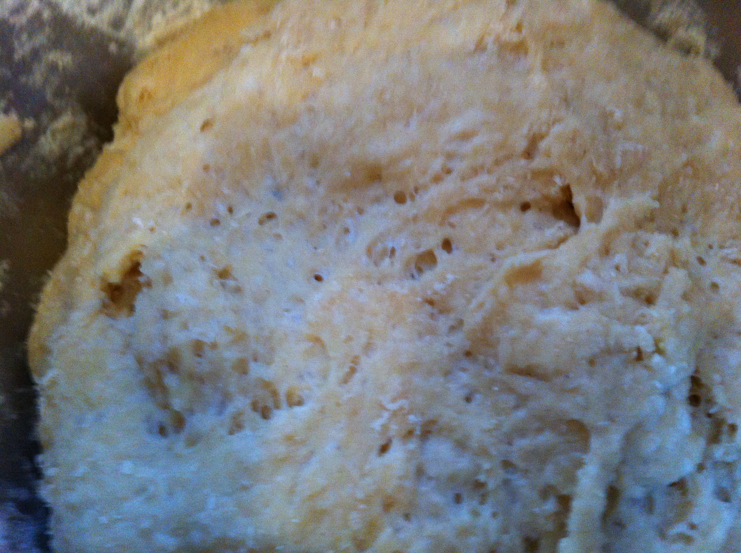 Yeast!