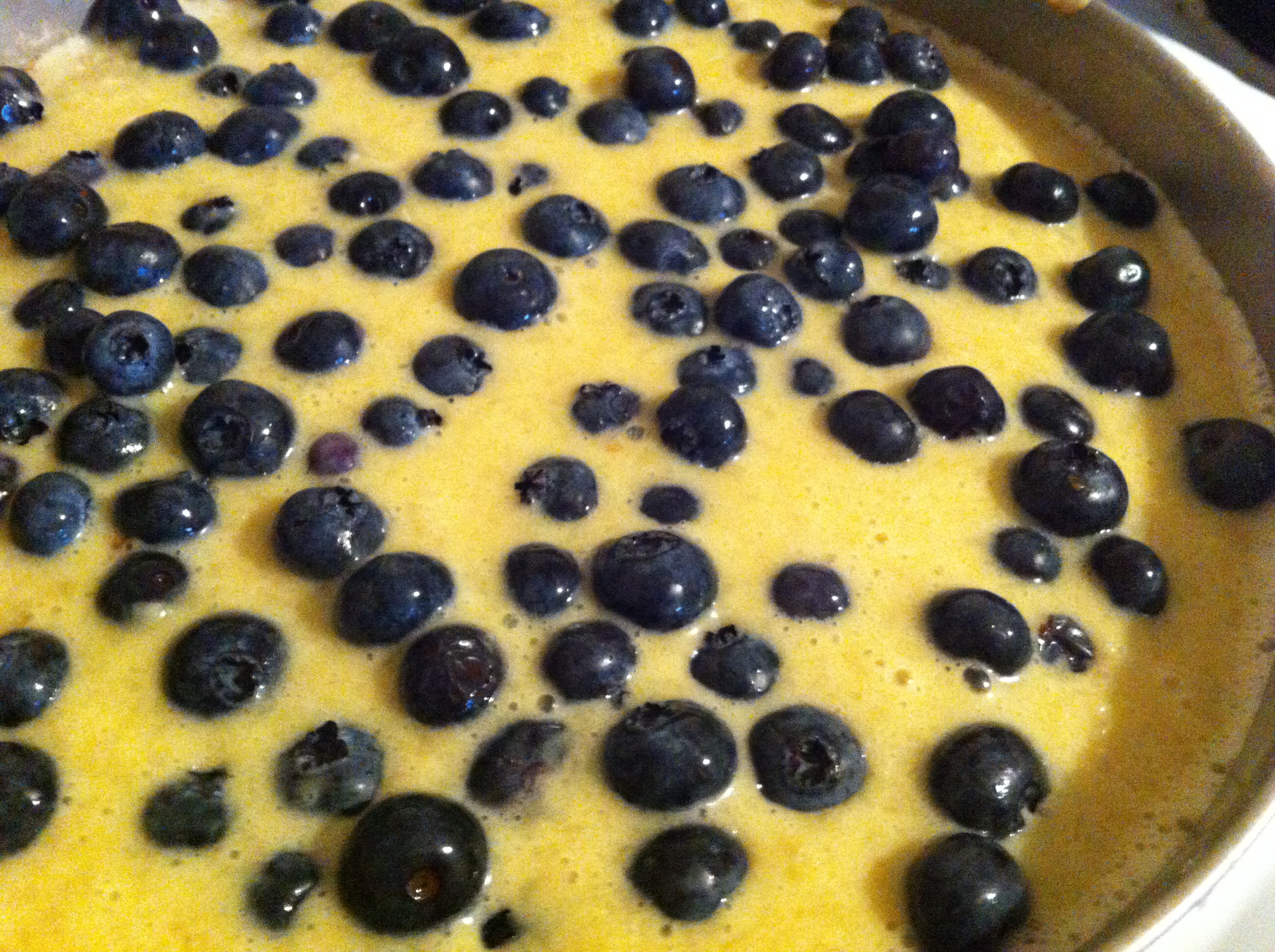All the blueberries