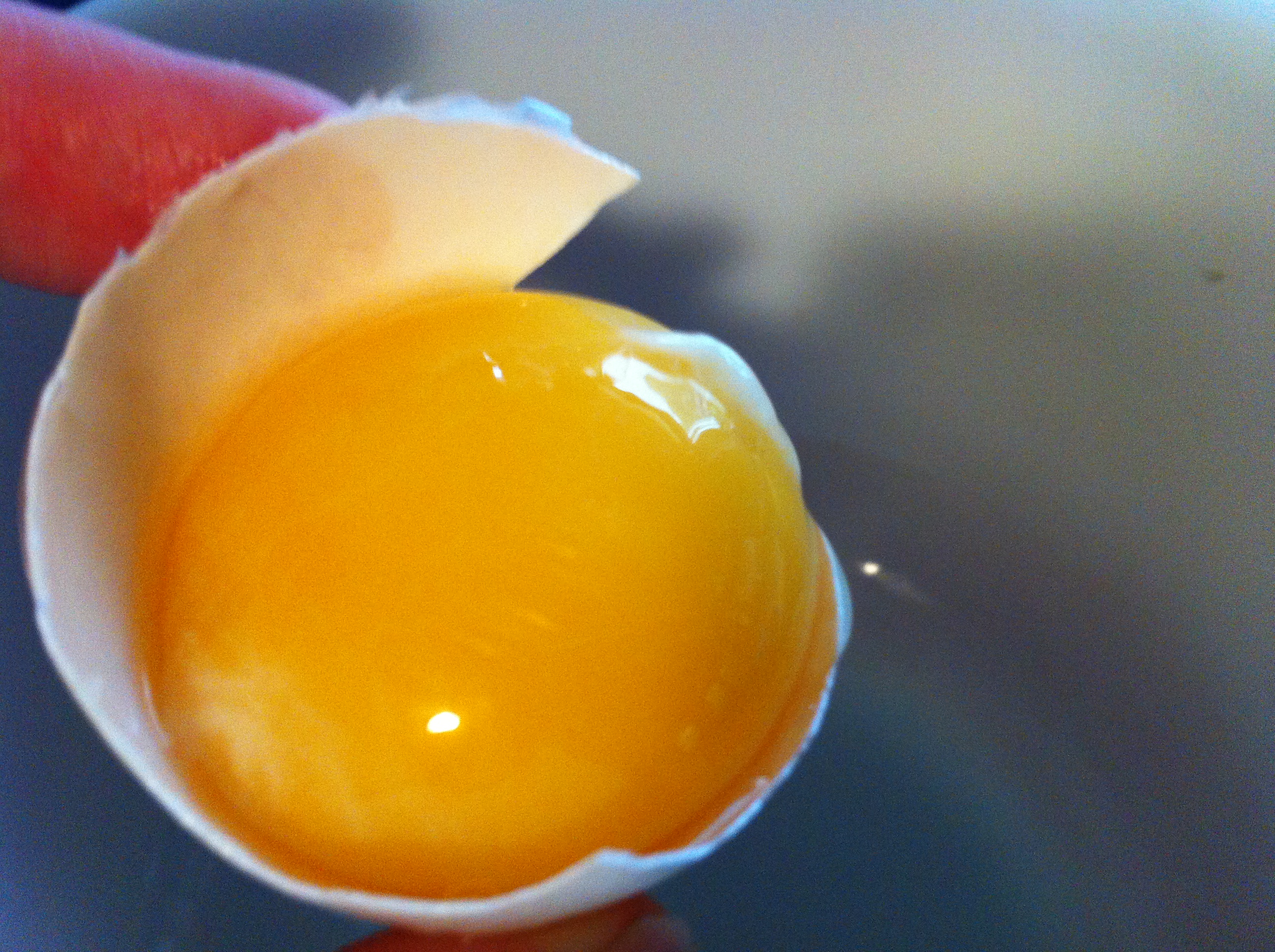 Egg yolk