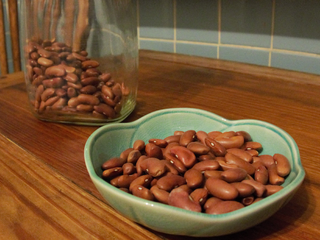 Kidney bean poisoning fchem 101