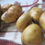 Starch and potatoes
